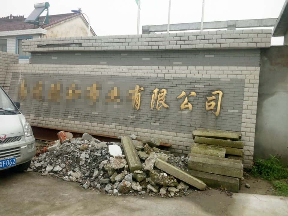 �_��Չ��C(j��)�͑�����